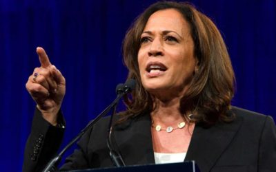 Reminder: Kamala Harris Said She Would ‘Take Executive Action’ on Gun Control, Ban AR-15s