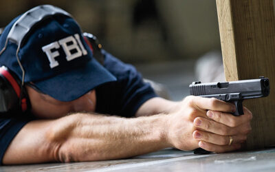 Surprise! FBI Errors Bolster the Gun Control Agenda